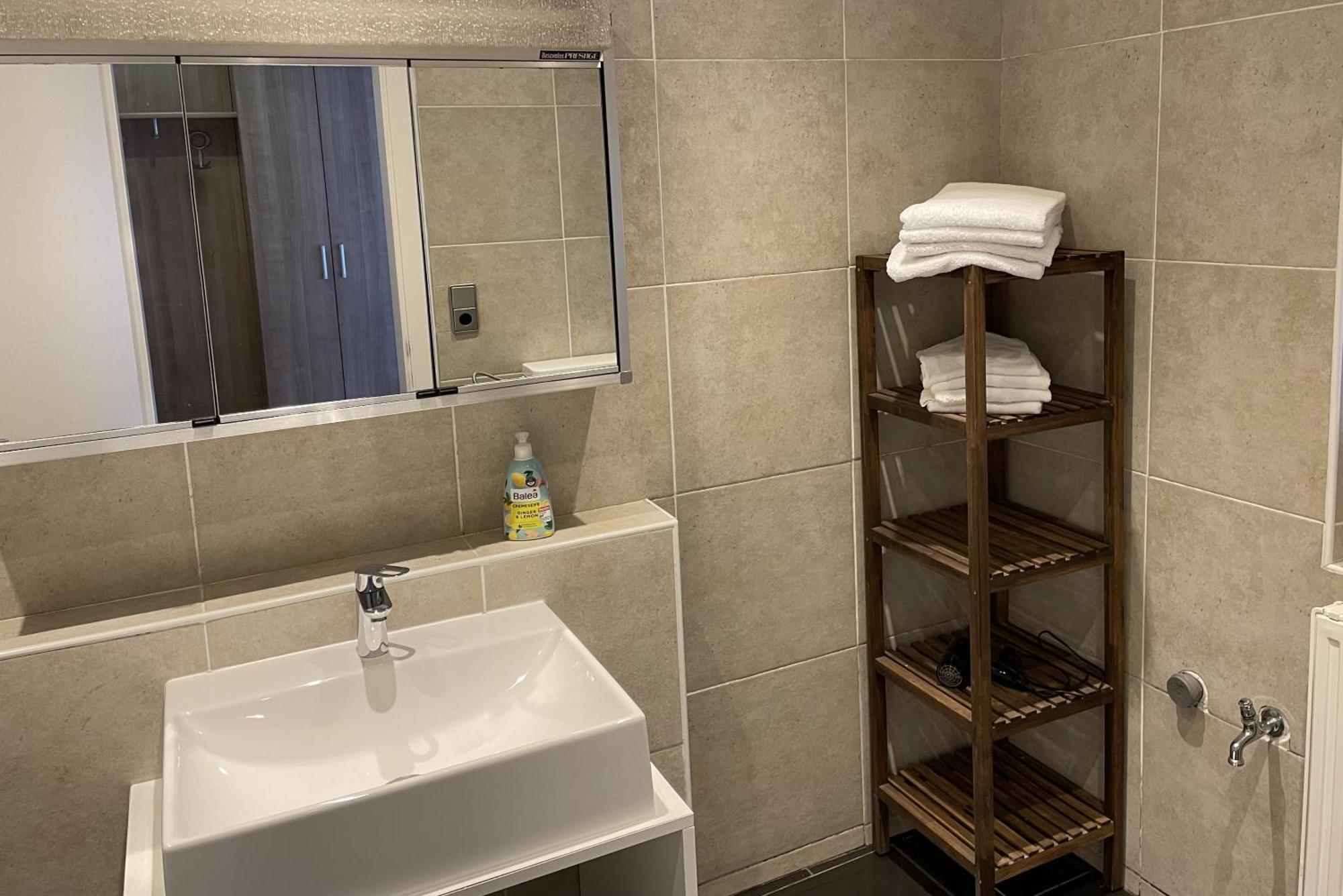 Areit Apartments - Low Budget ツェル アム ゼー 部屋 写真